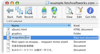Fetch_033