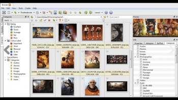 XnViewMP_01